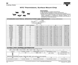 02W1001JP.pdf