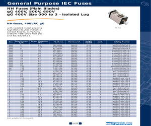 NH1GG40V125-1.pdf