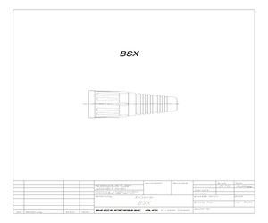 BSX-5.pdf