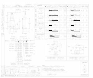 GSAC47C.pdf