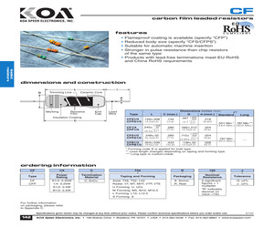 CFS1/2C100J.pdf