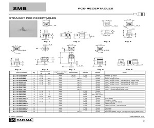 R114423820.pdf