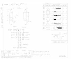 GSAA06B-Q01.pdf