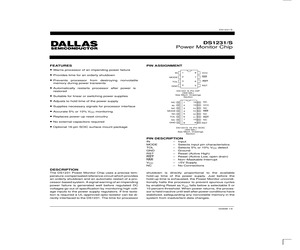 DS1231S-20N+.pdf