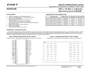 M12L2561616A-5TIG2A.pdf