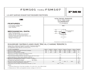 FSM103.pdf