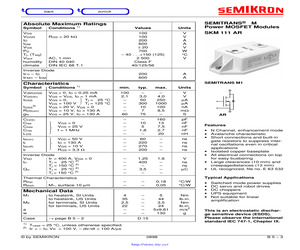 SKM101AR.pdf